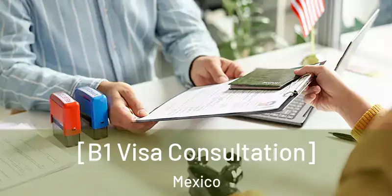  [B1 Visa Consultation] Mexico